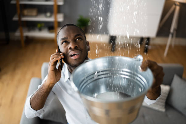 Best Water damage restoration near me  in Farmington, MS