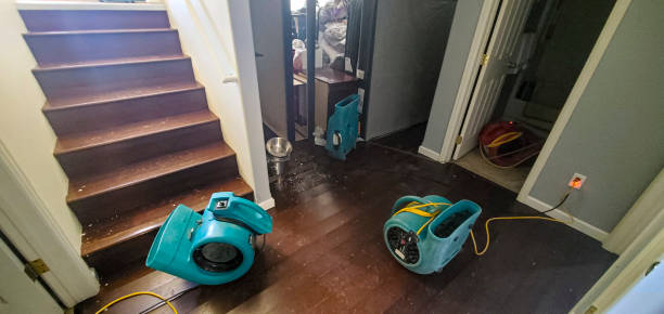 Best Sewage cleanup and water damage restoration  in Farmington, MS