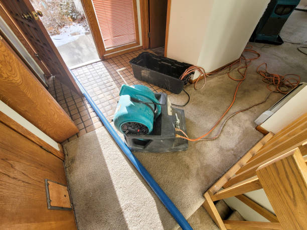 Best Local water damage restoration  in Farmington, MS