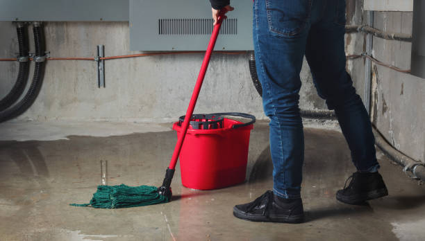 Best Residential water damage restoration  in Farmington, MS