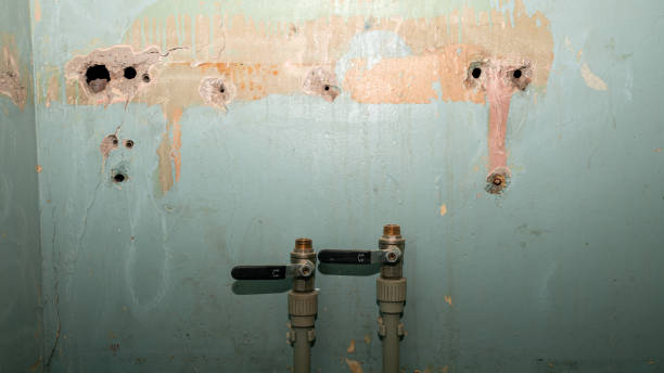 Best Emergency water extraction  in Farmington, MS