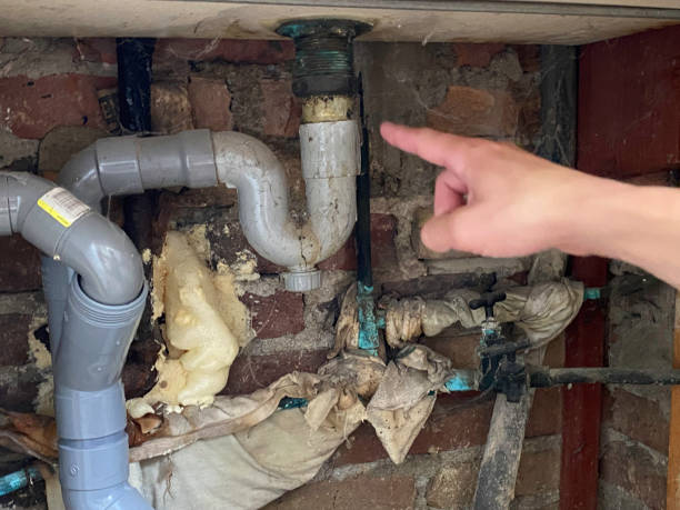 Best Carpet water damage restoration  in Farmington, MS
