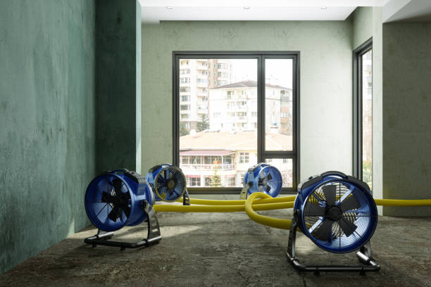 Best Water damage mitigation services  in Farmington, MS