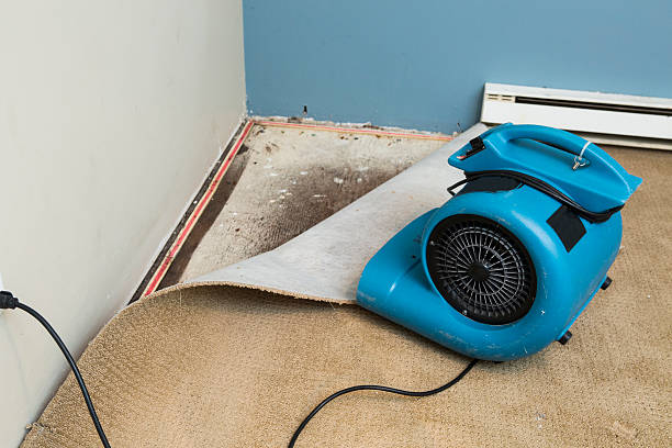 Best Sewage cleanup and water damage restoration  in Farmington, MS